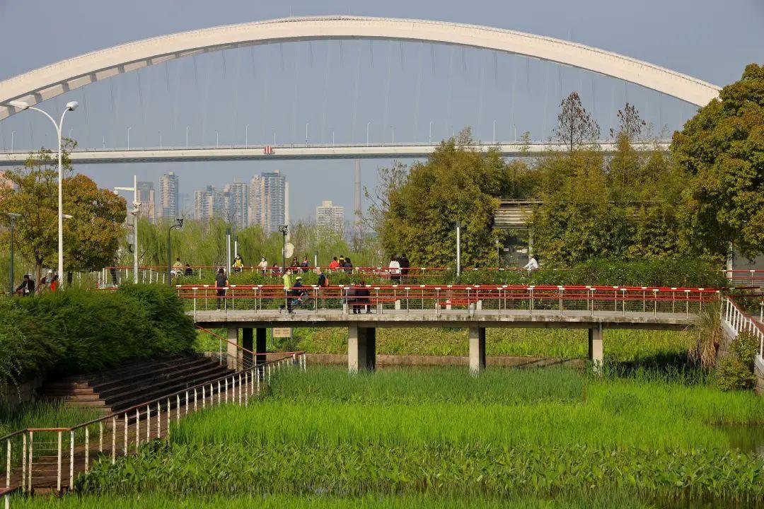 东方体育中心平面图_东方体育中心建筑特色_东方体育中心简笔画