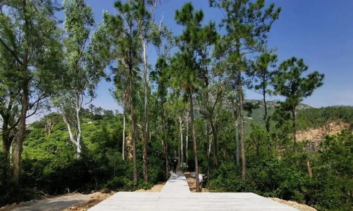 石景山体育中心_石景山体育中心改扩建方案_石景山区体育馆位置